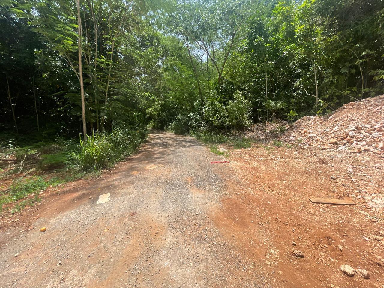 Property Image 5