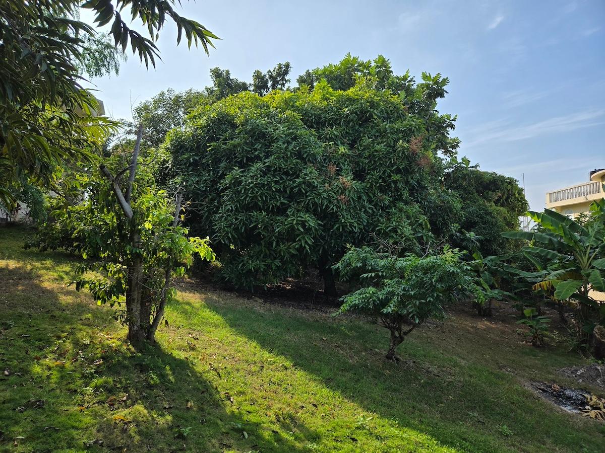 Property Image 59