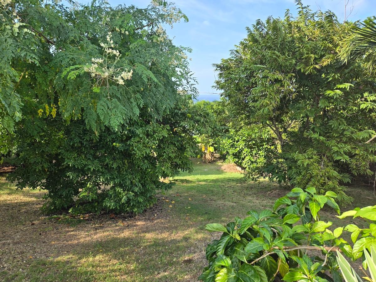 Property Image 60