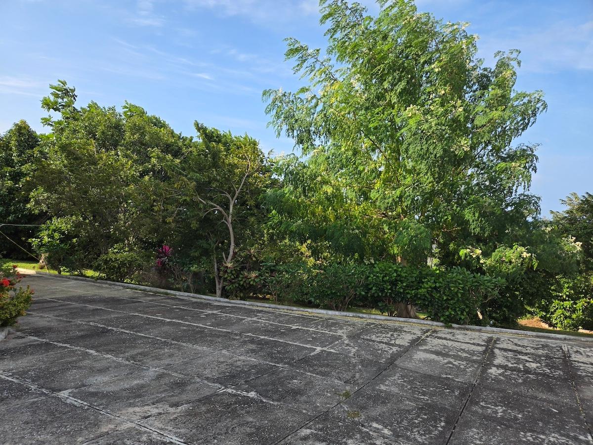 Property Image 62