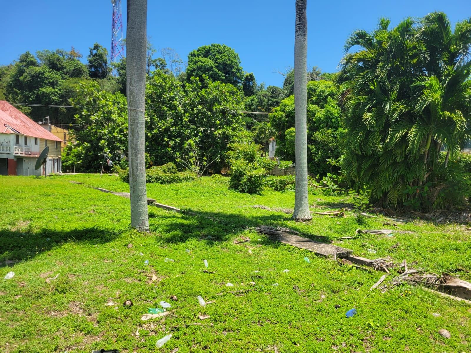 Property Image 25