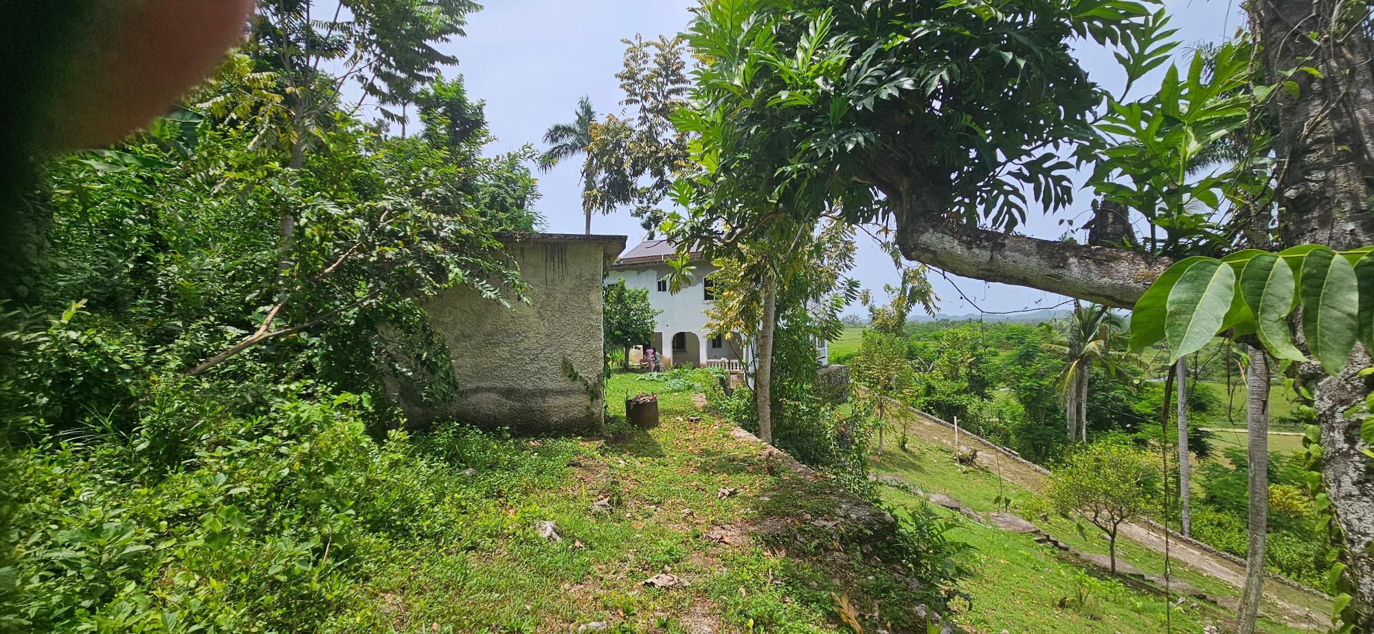 Property Image 61