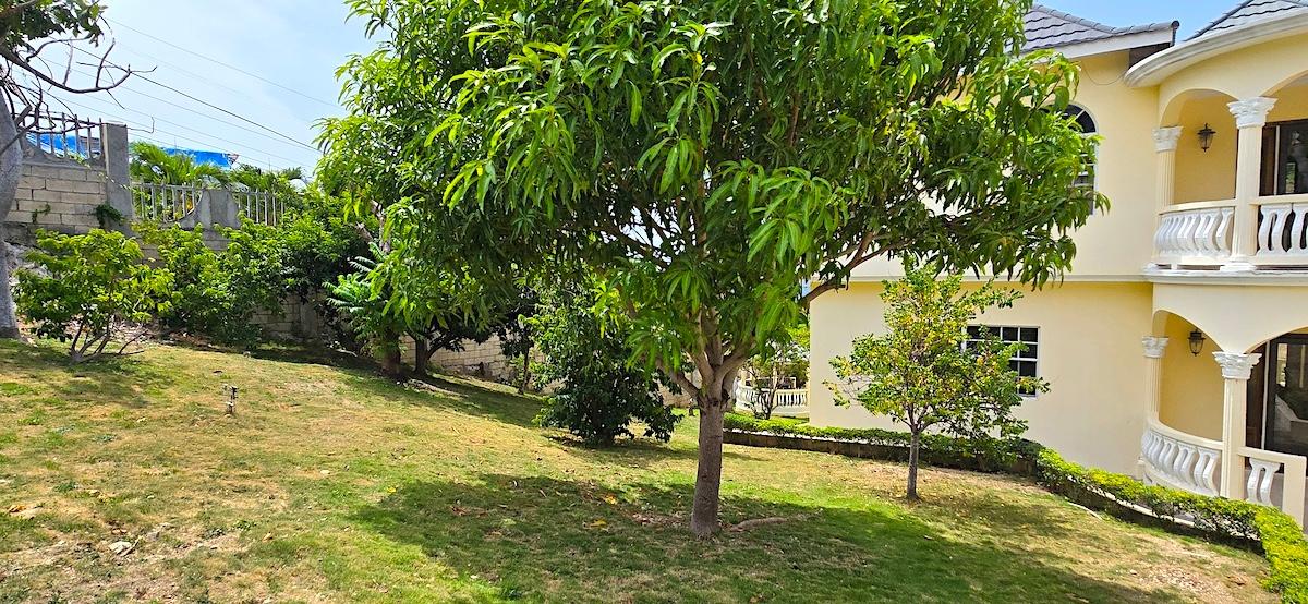 Property Image 93