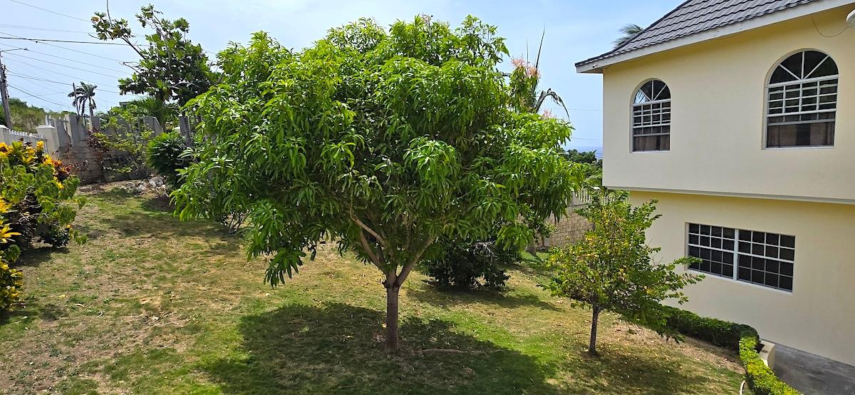 Property Image 97