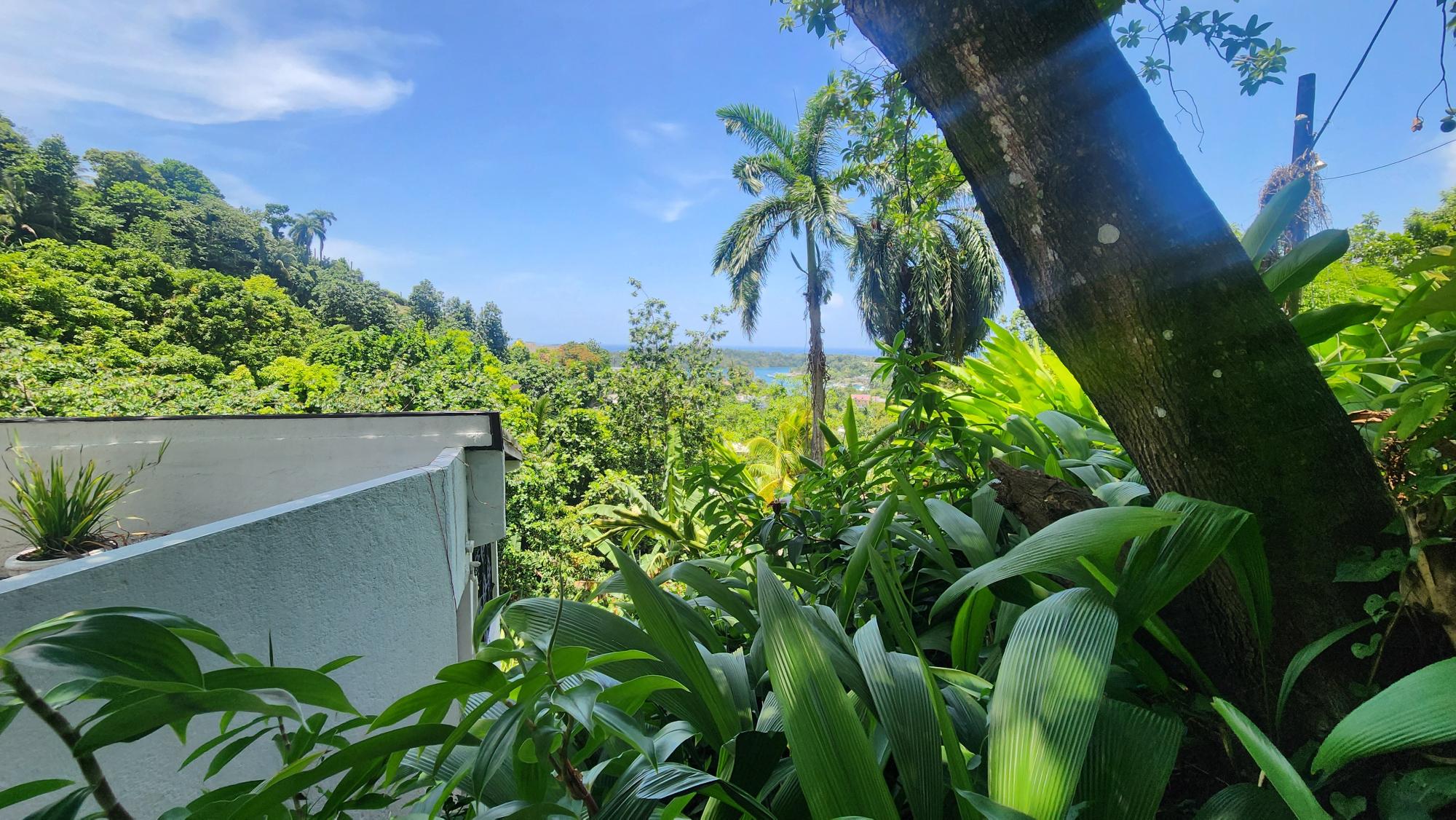Property Image 45
