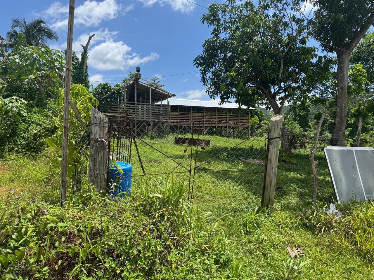 Property Image 17