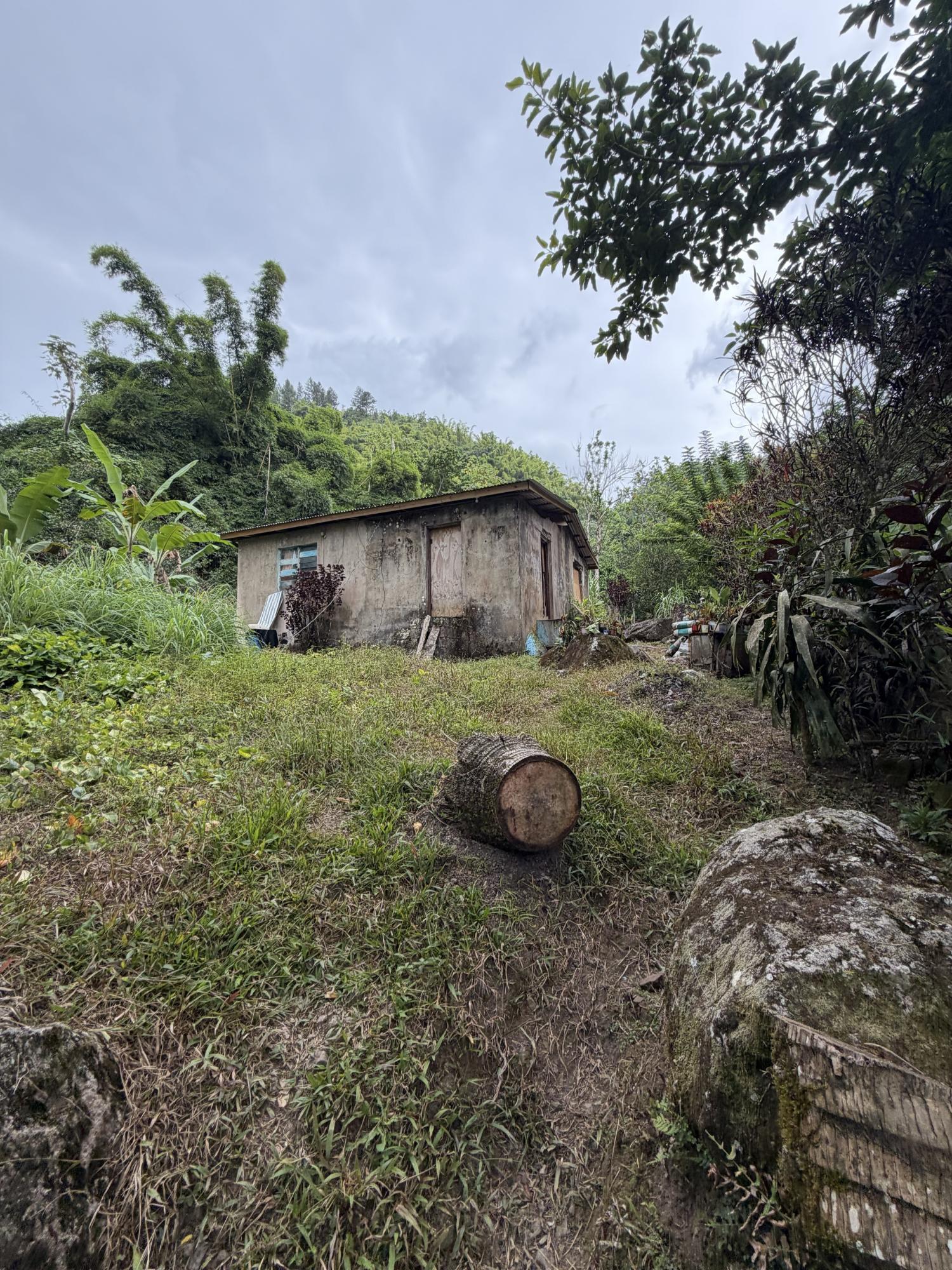 Property Image 17