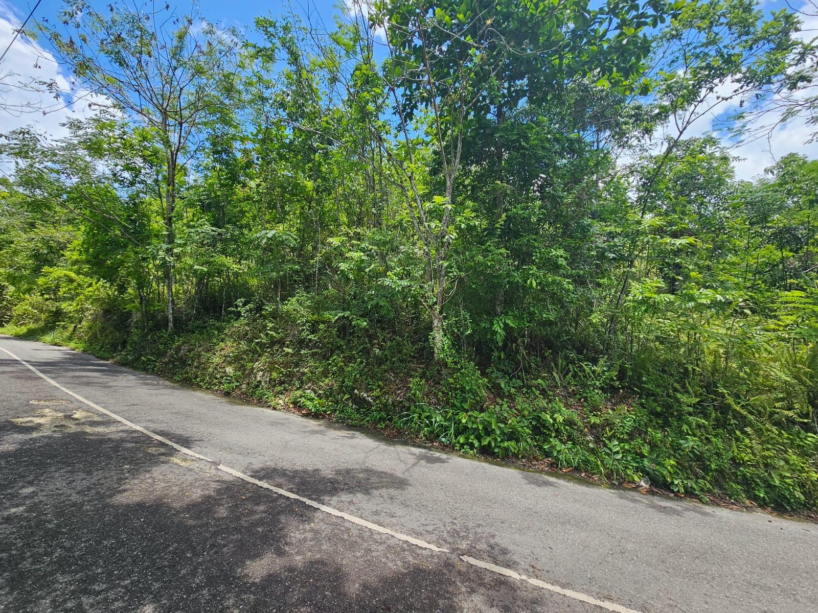 Property Image 27