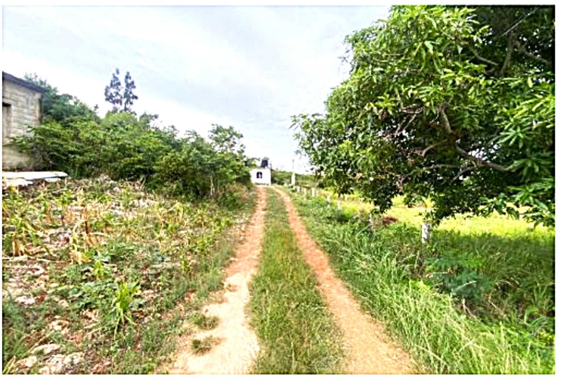 Property Image 6