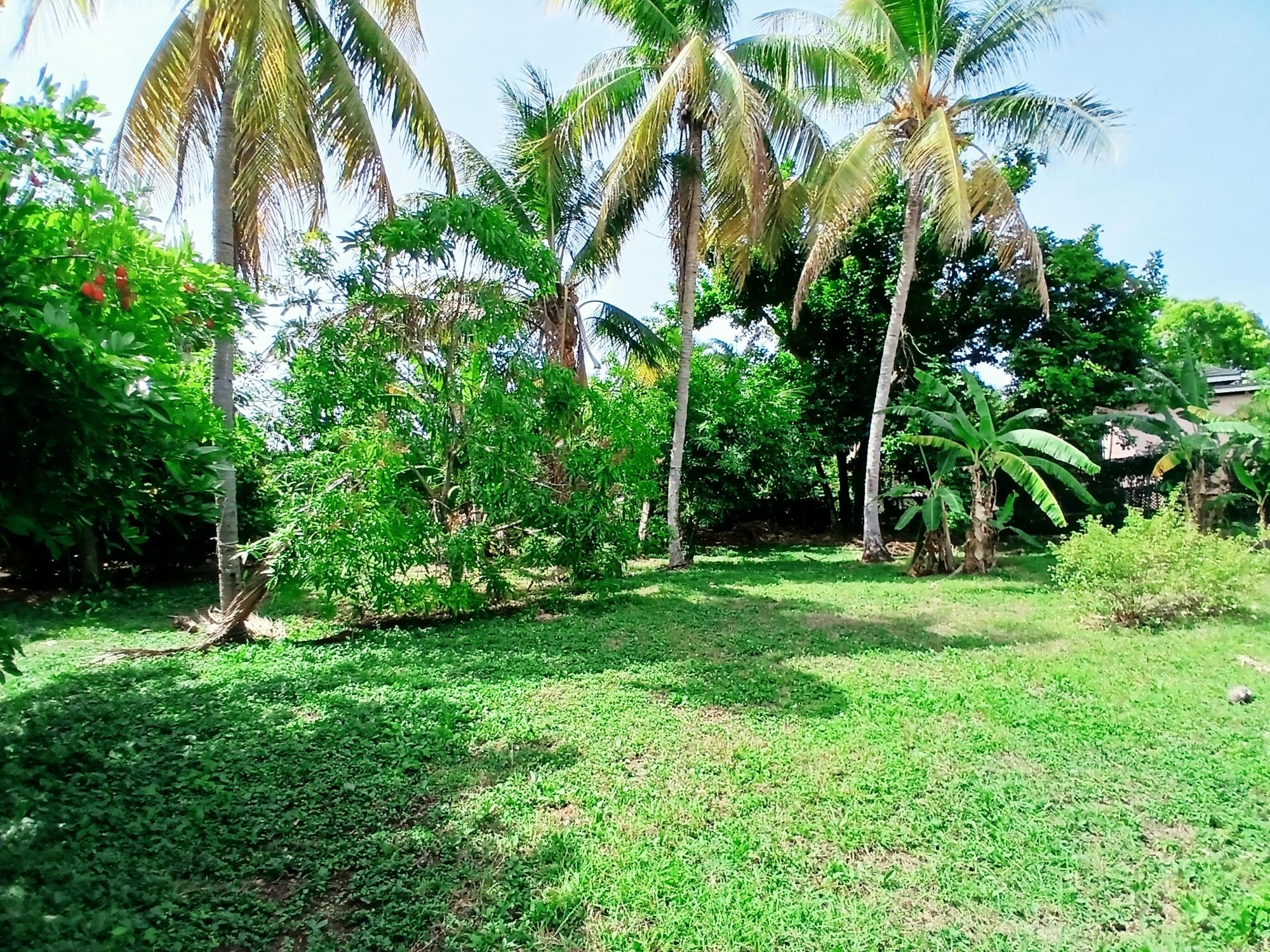 Property Image 41