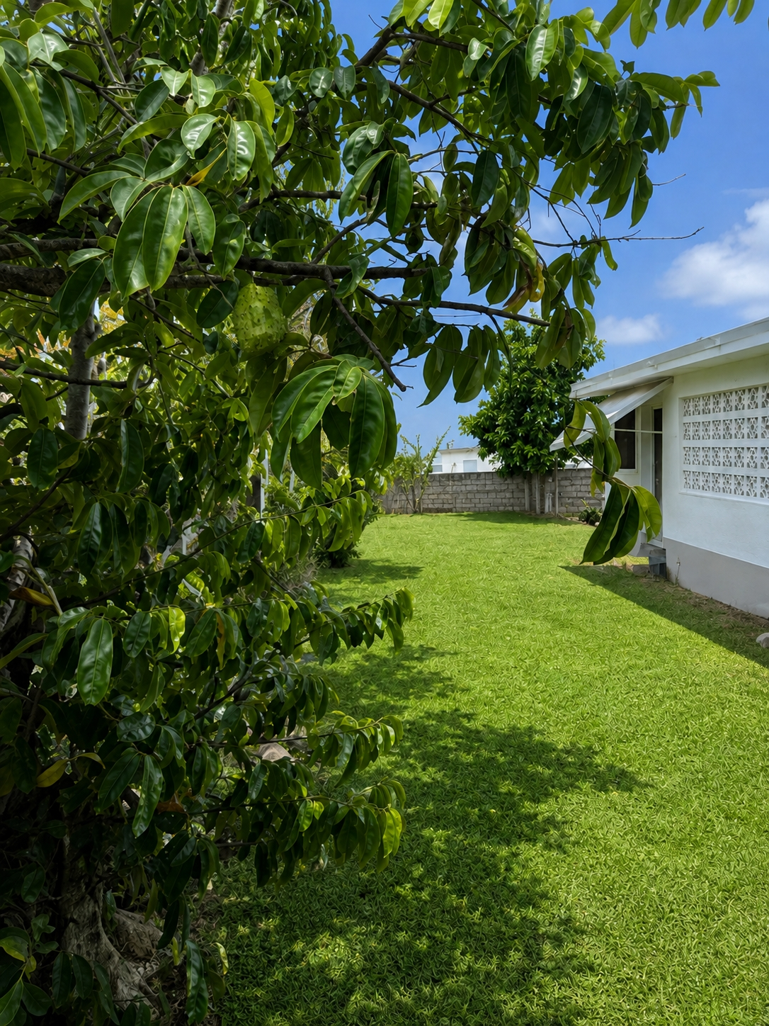 Property Image 29