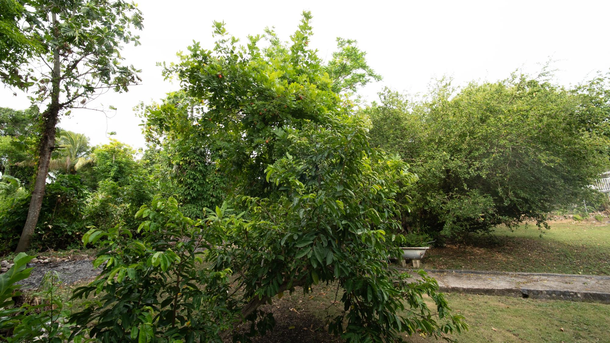 Property Image 36