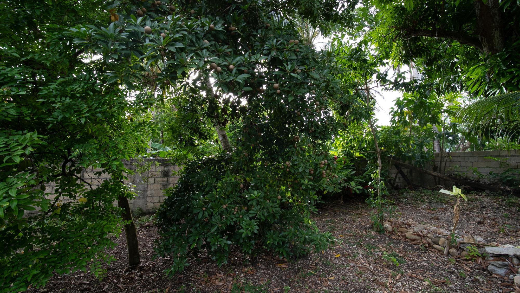 Property Image 38