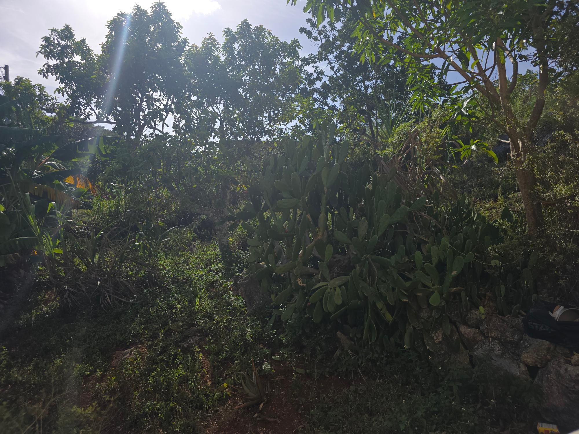 Property Image 47