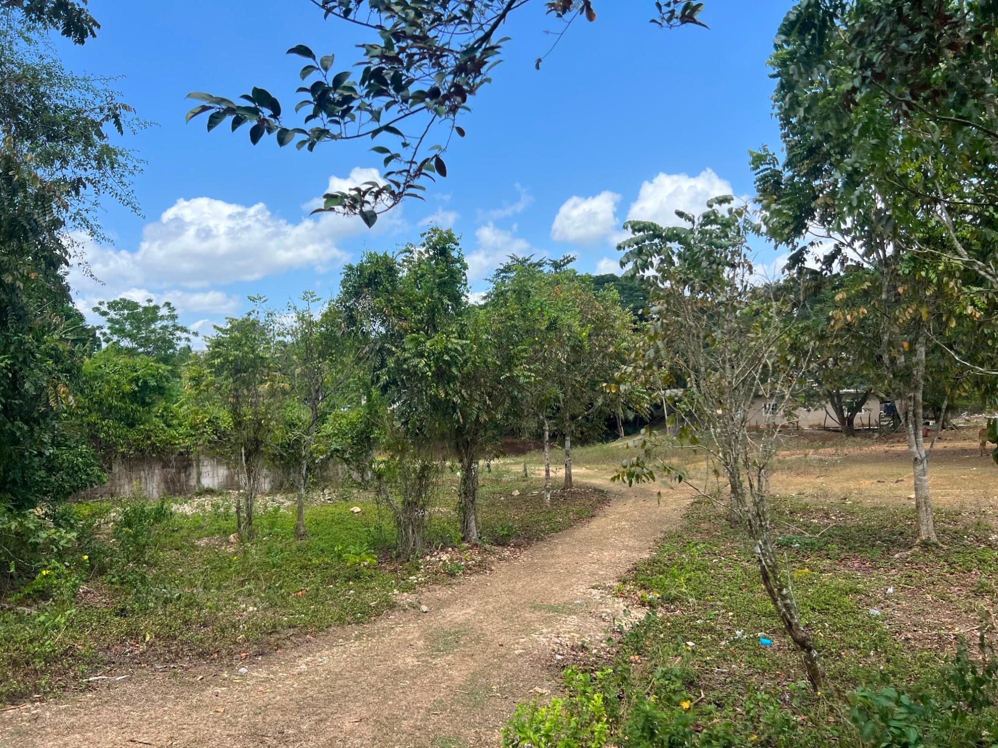 Property Image 12