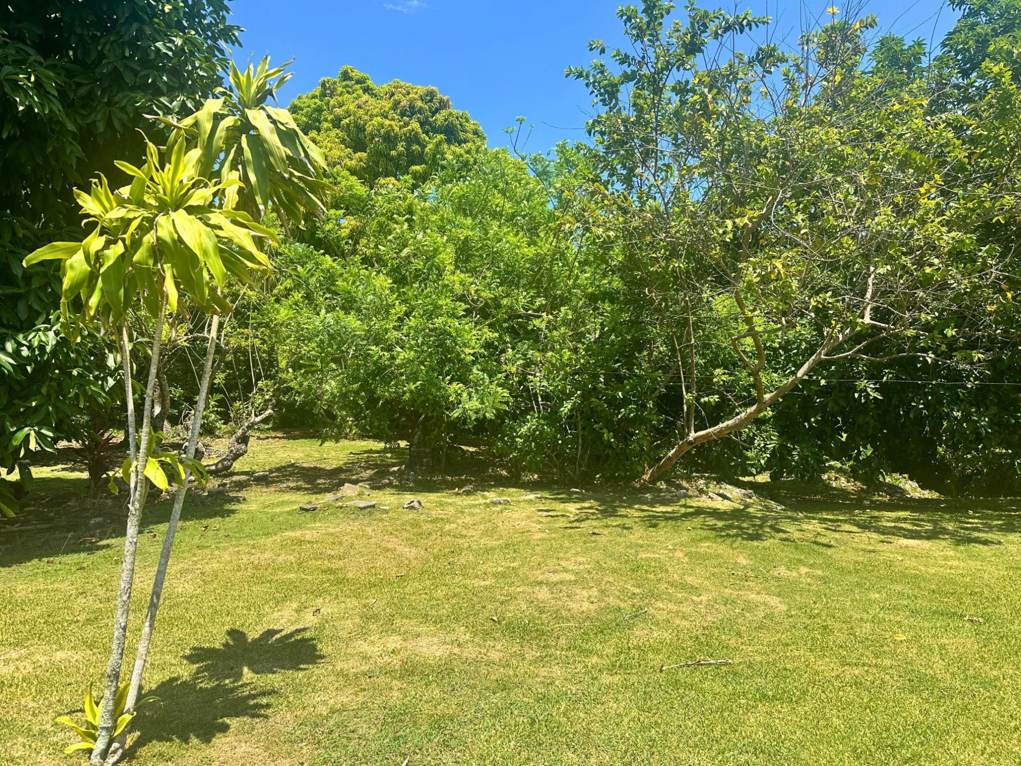 Property Image 20