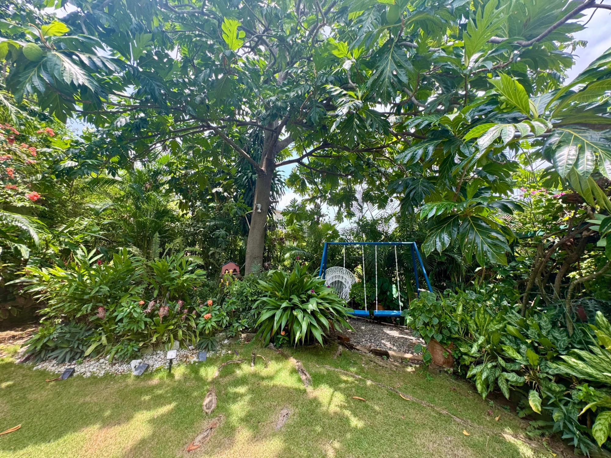 Property Image 8