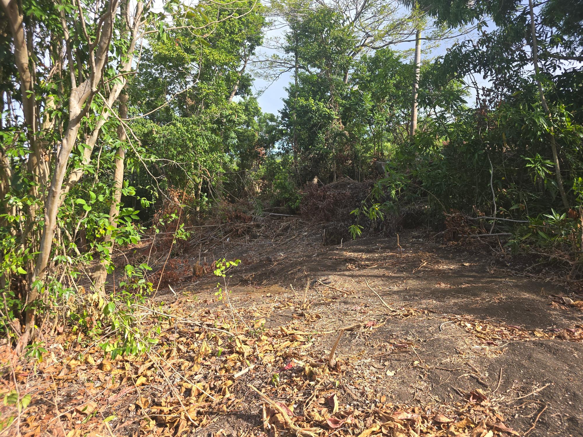 Property Image 8