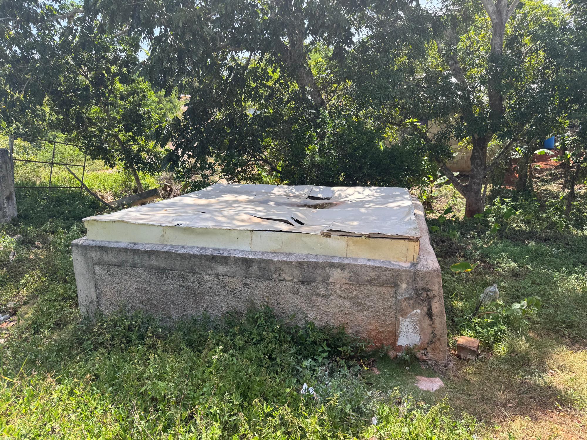 Property Image 12