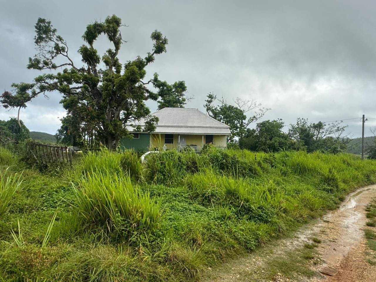 Property Image 10