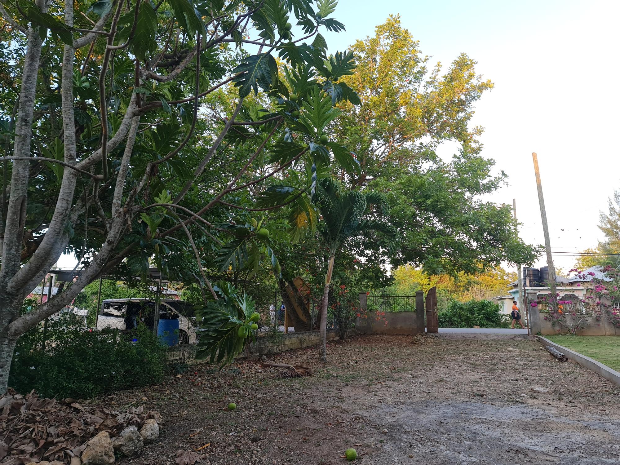 Property Image 19