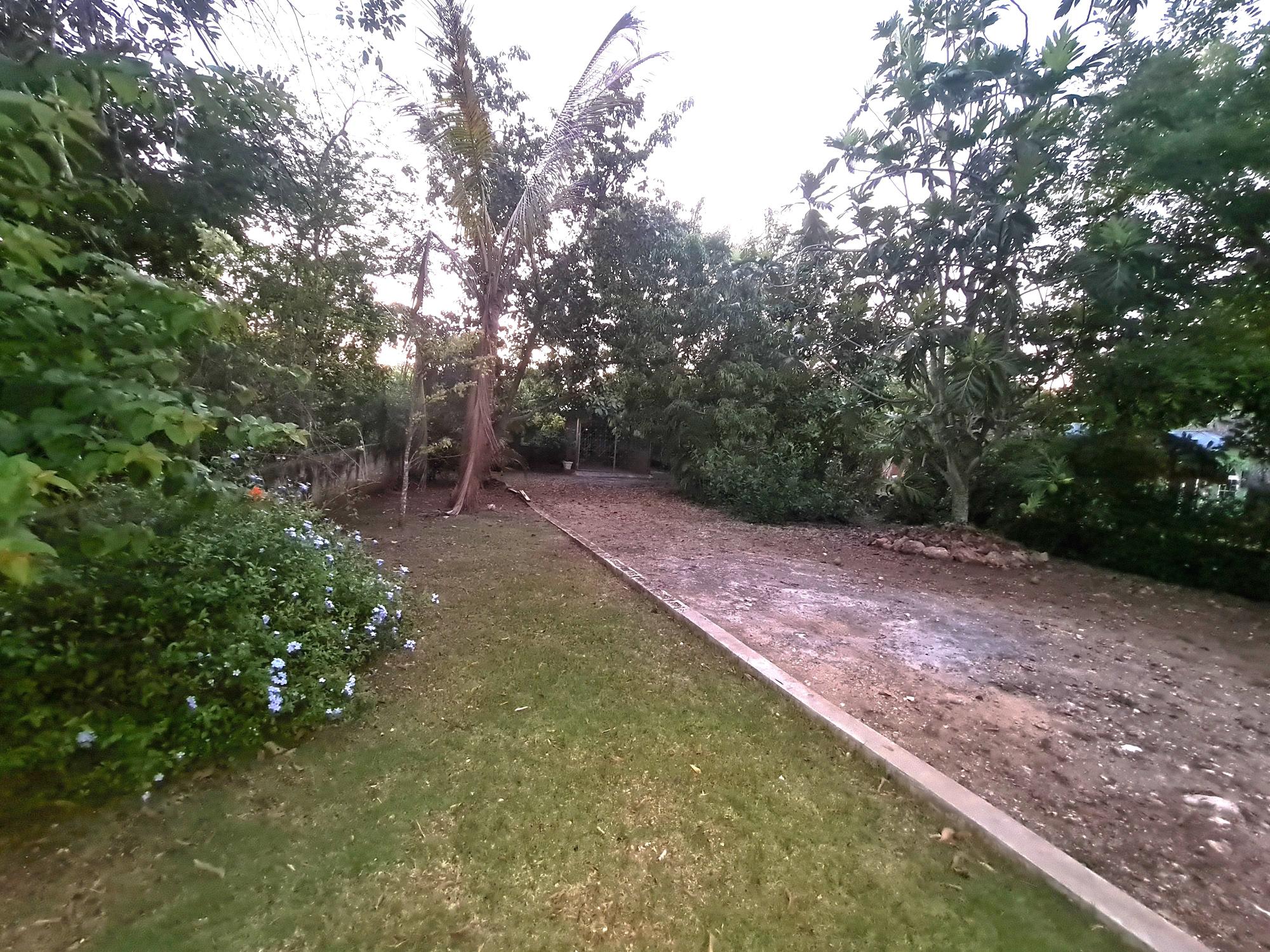 Property Image 49