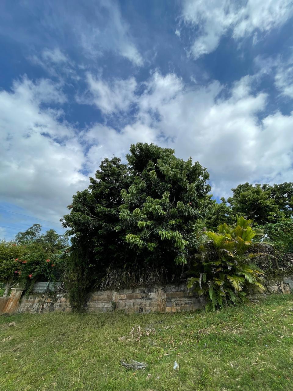 Property Image 91