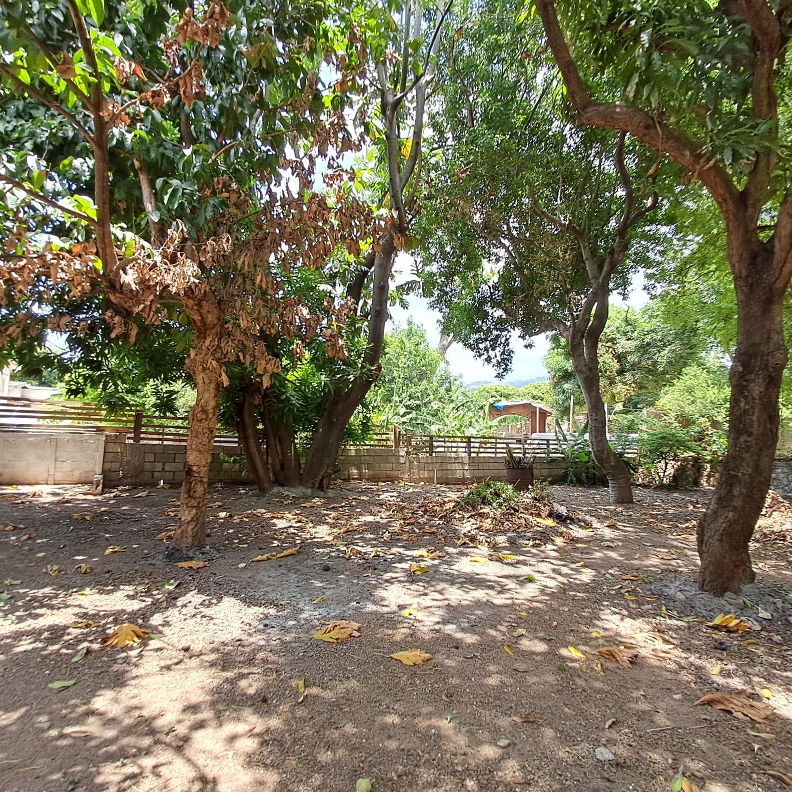 Property Image 32