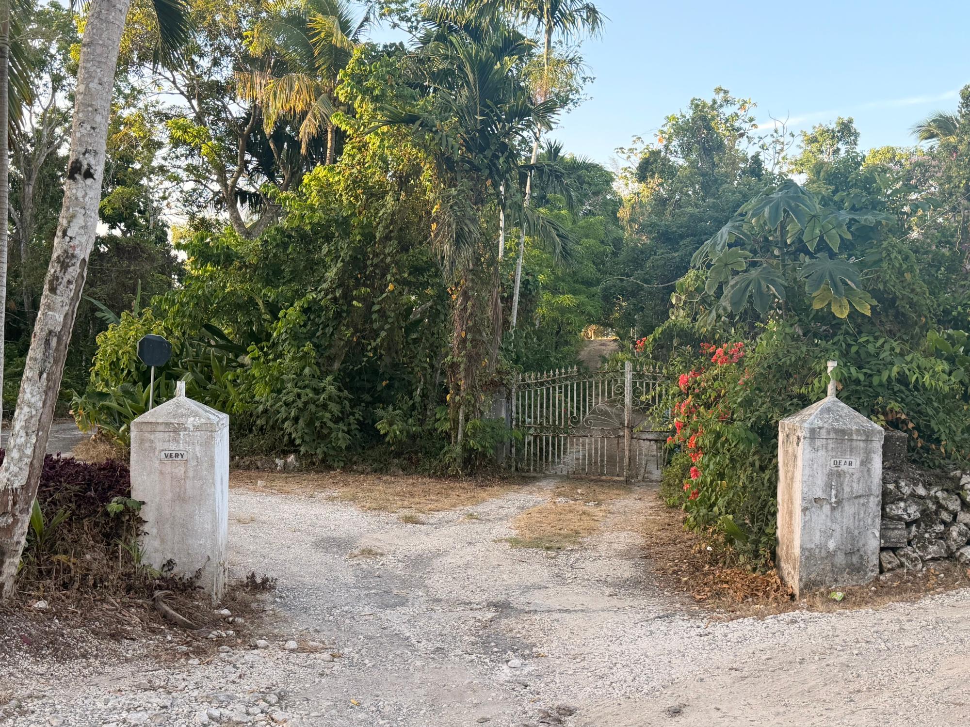Property Image 7