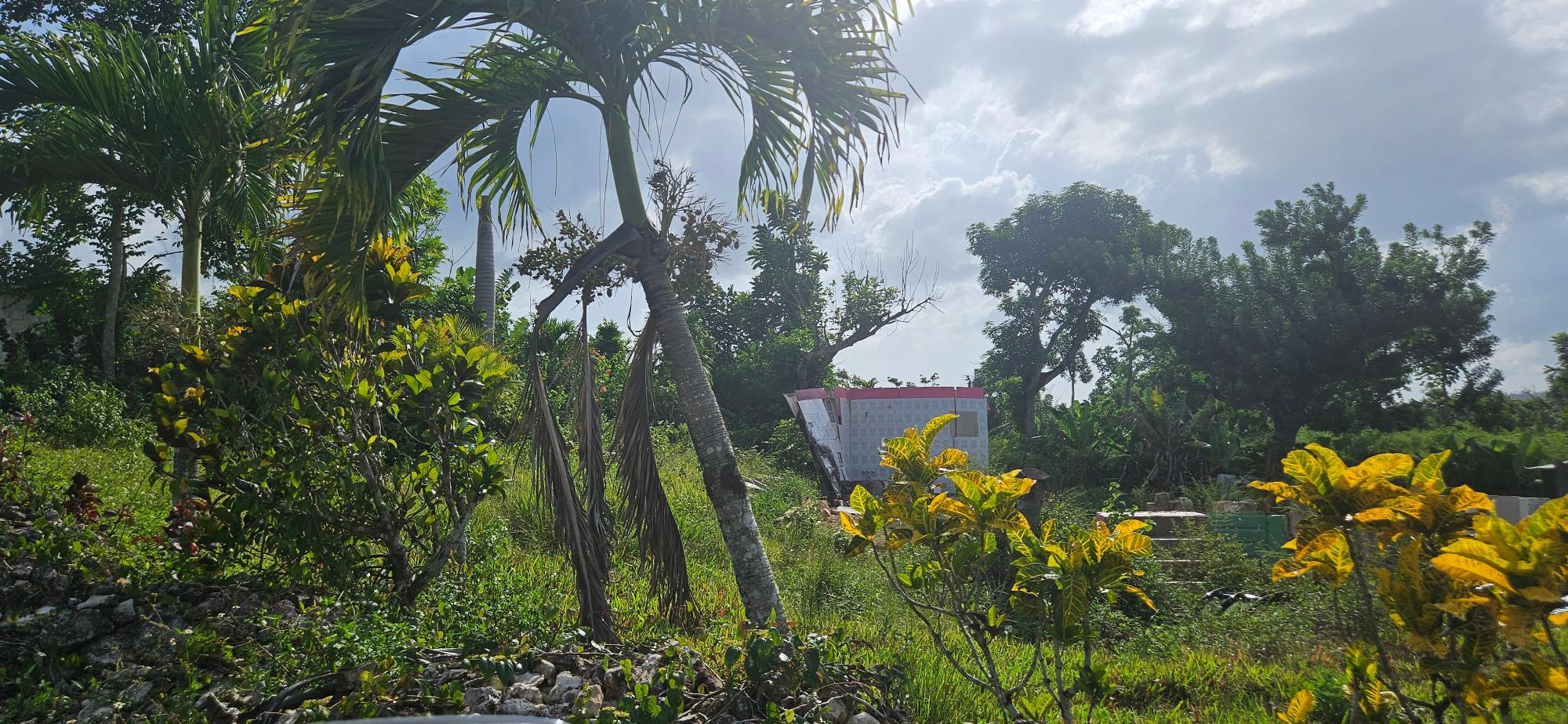 Property Image 36