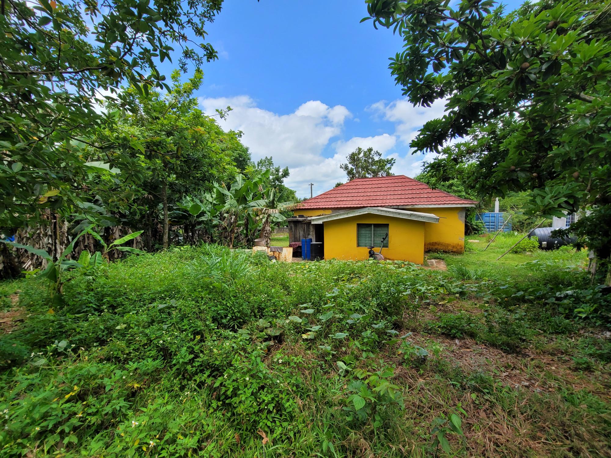 Property Image 4