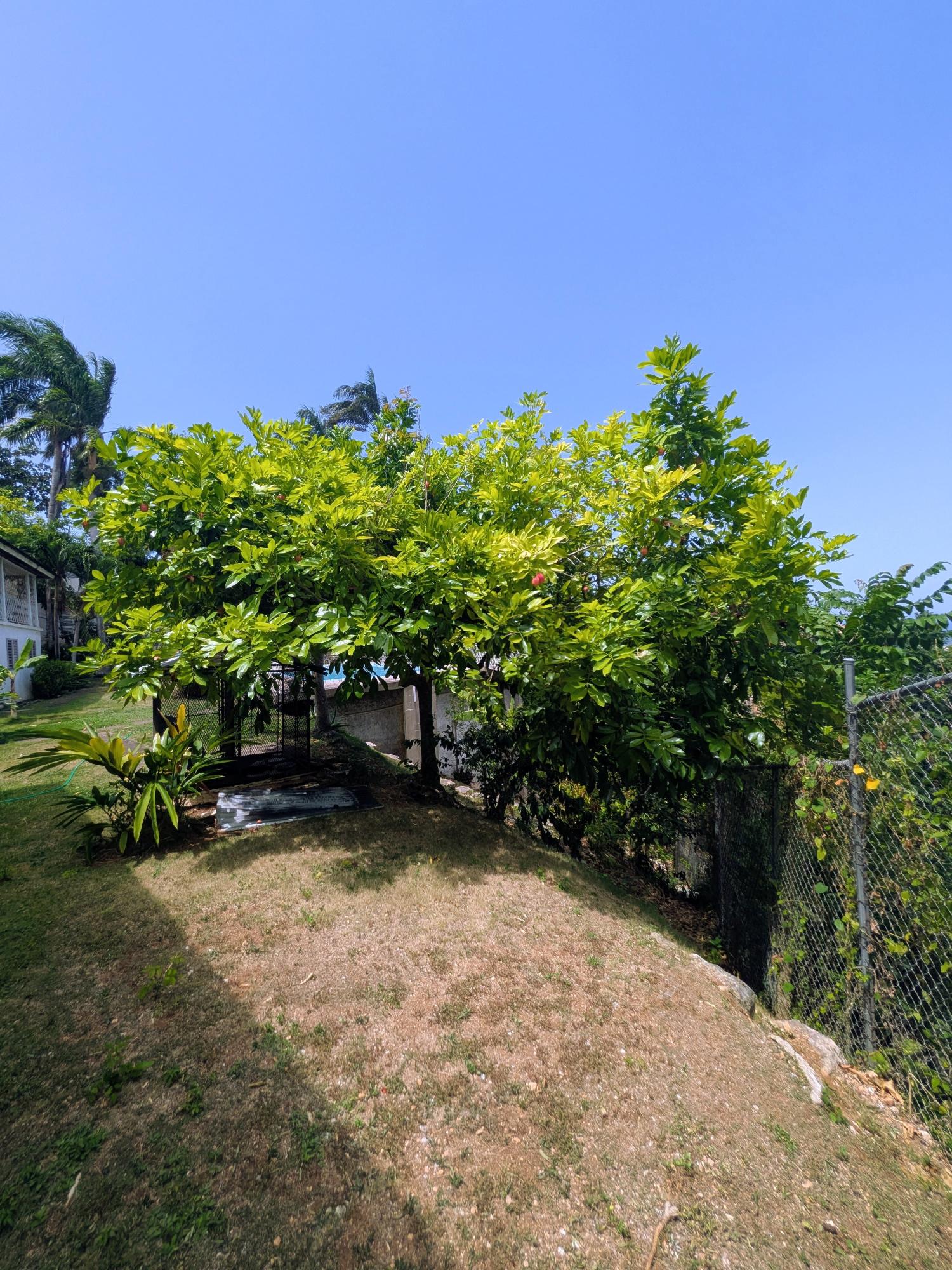 Property Image 45