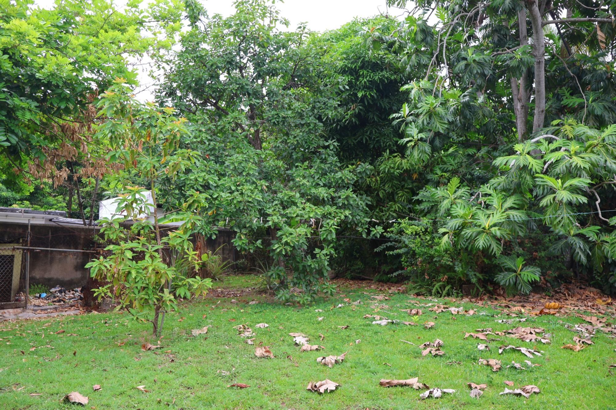 Property Image 10
