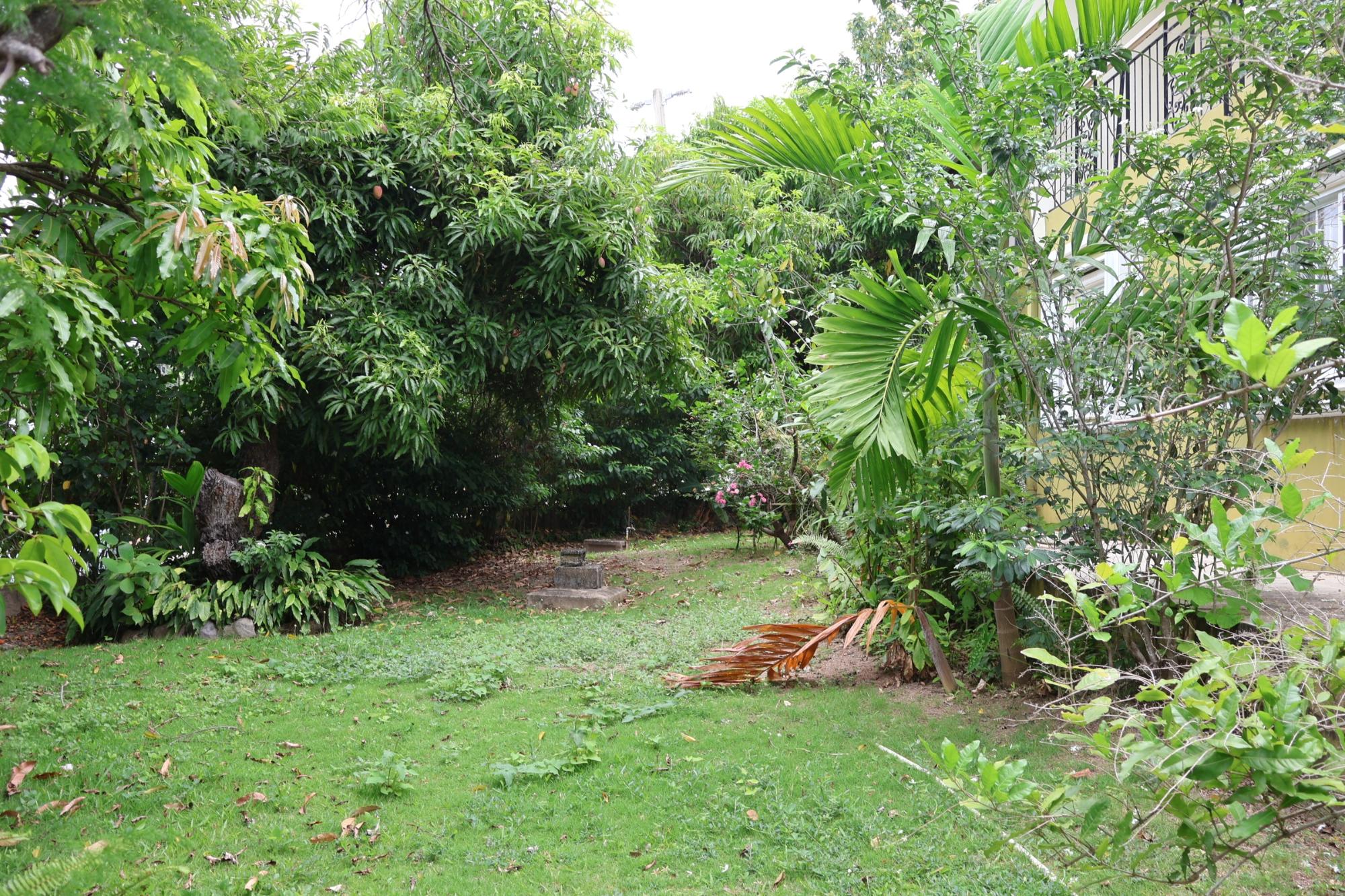 Property Image 32