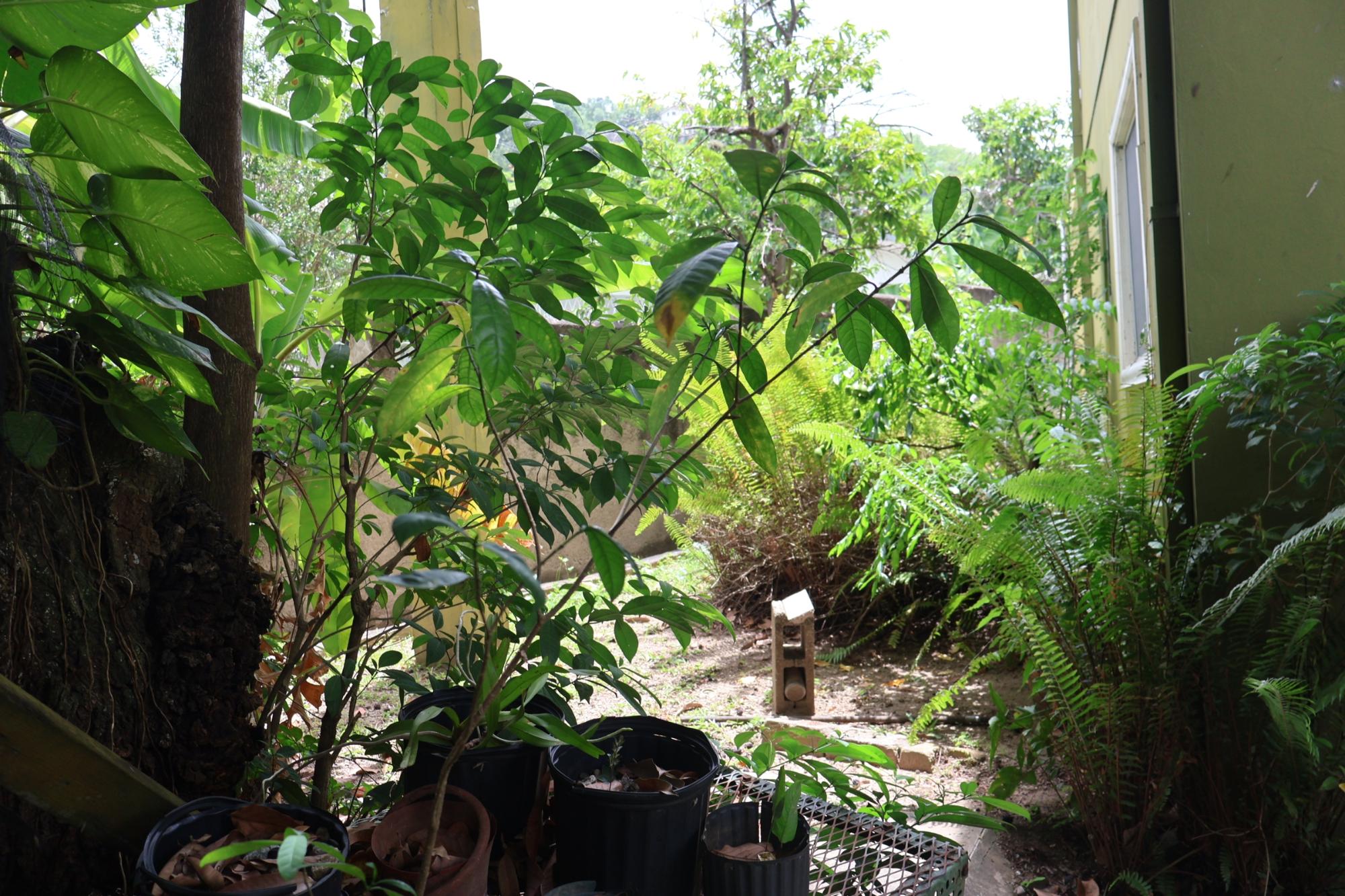 Property Image 36