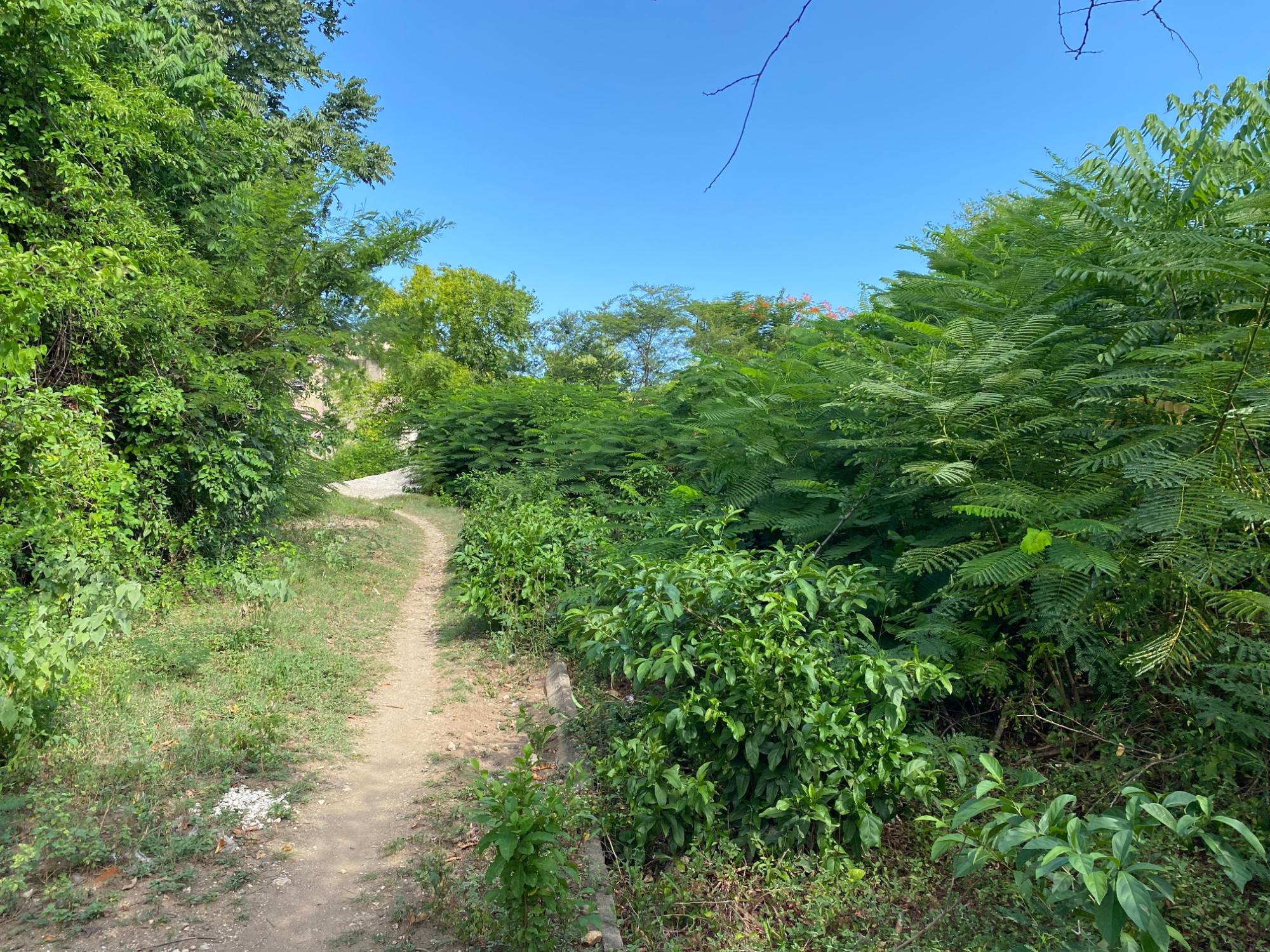 Property Image 4
