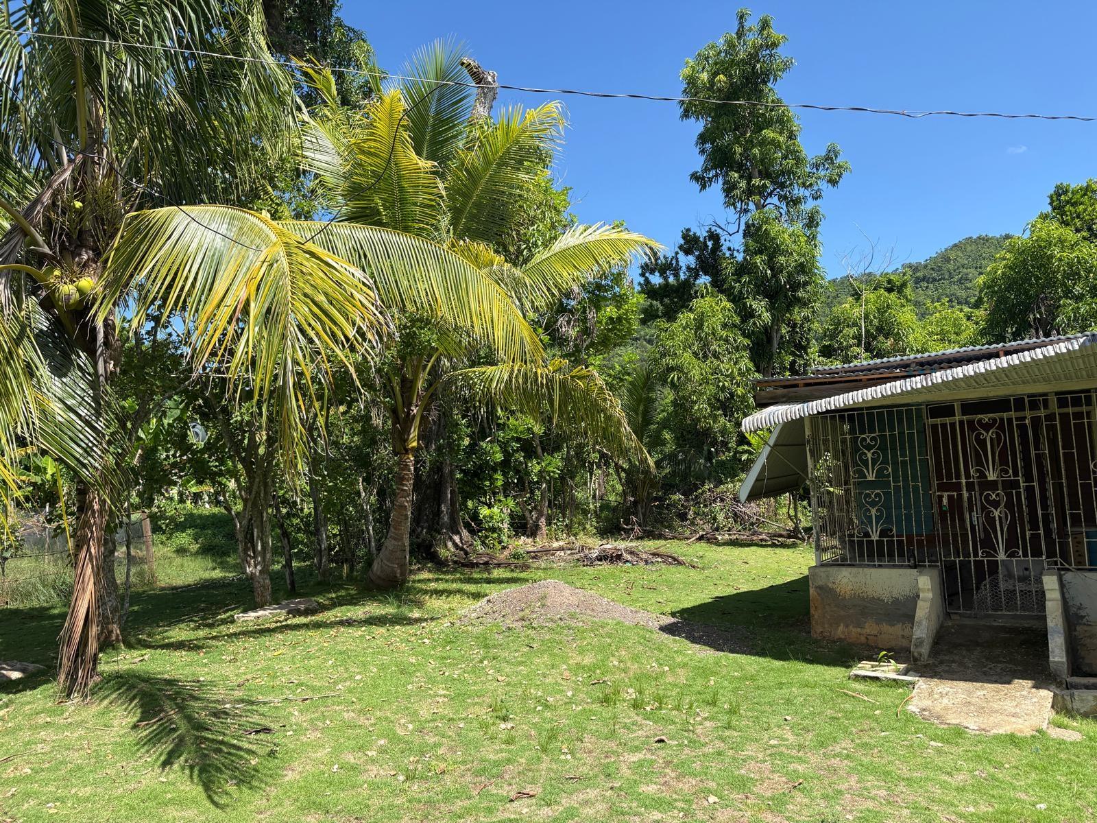 Property Image 22