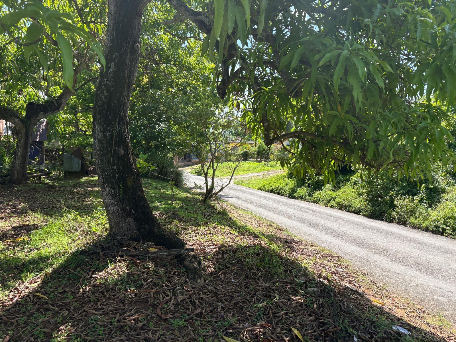Property Image 23