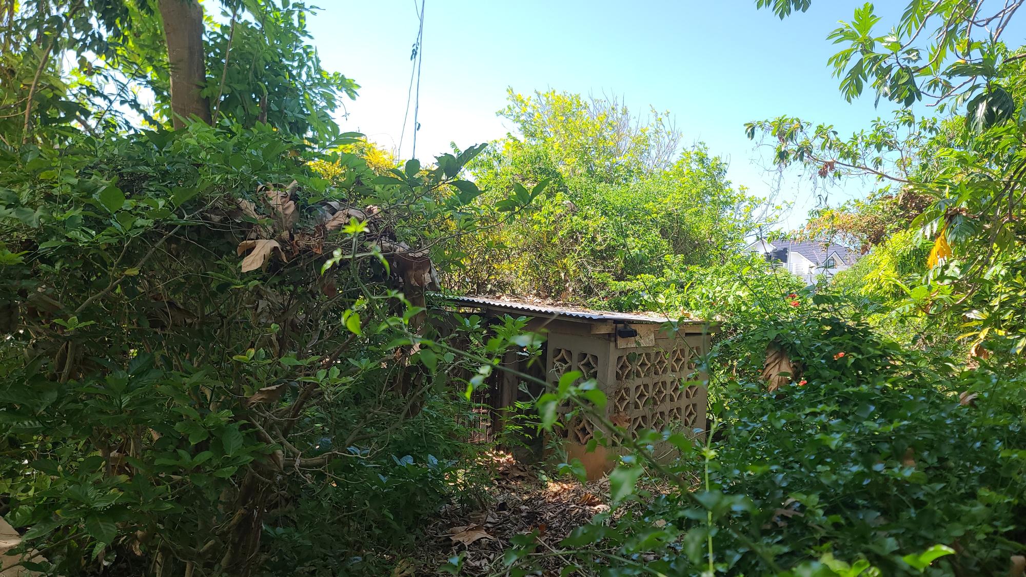 Property Image 37