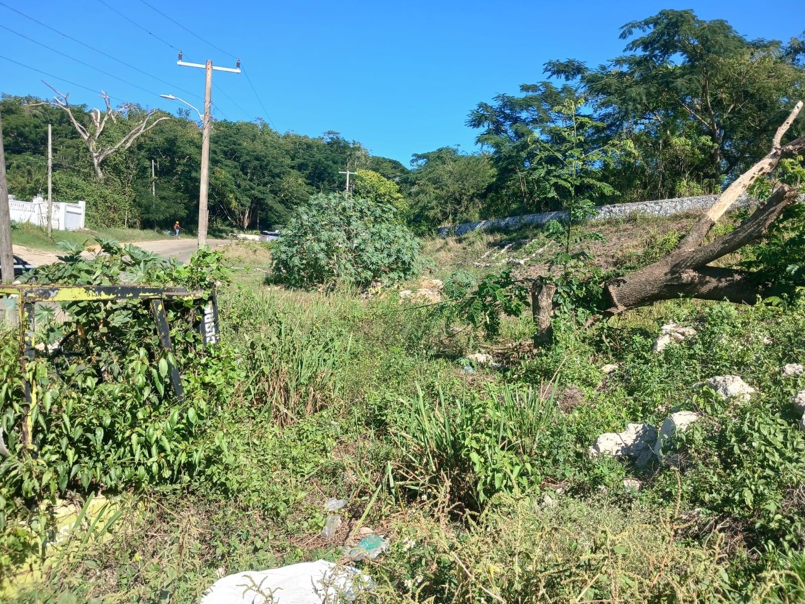 Industrial, Commercial & Investment Property for sale in MILE GULLY ...