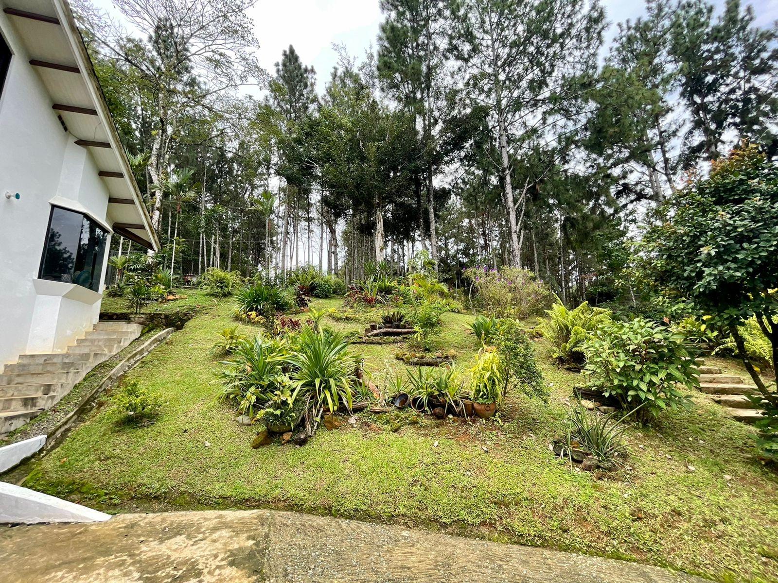 Listing Photo 30