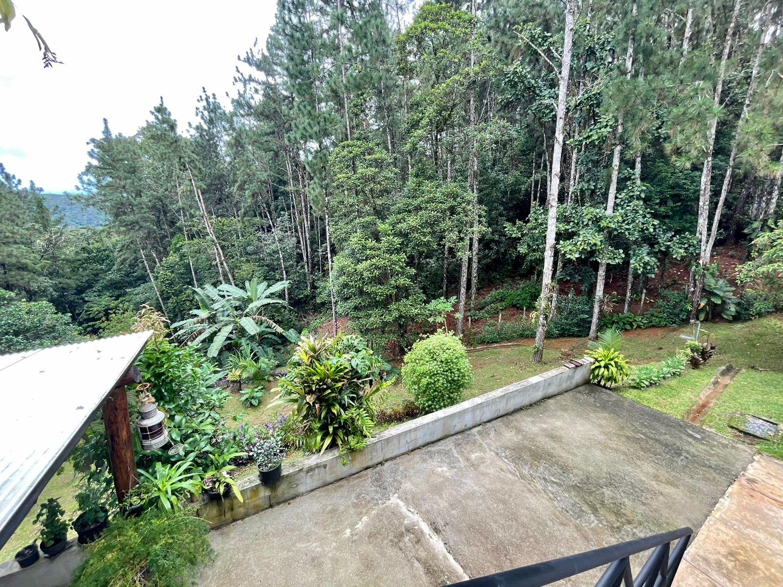 Listing Photo 31