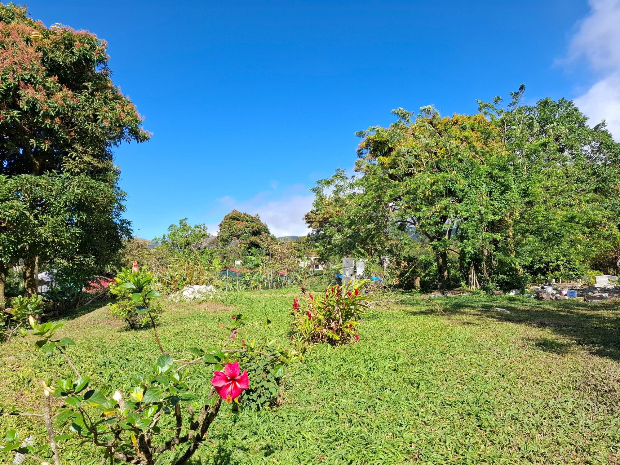 Listing Photo 6