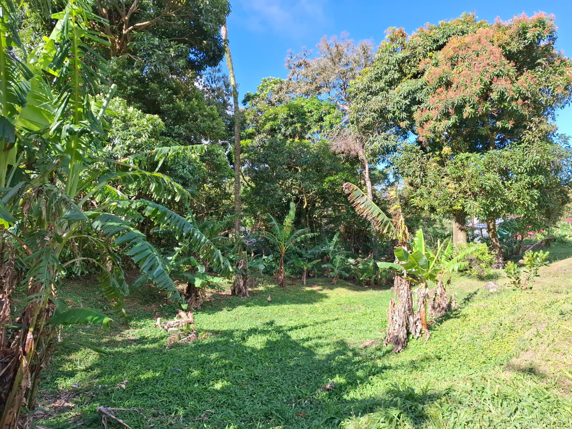 Listing Photo 10
