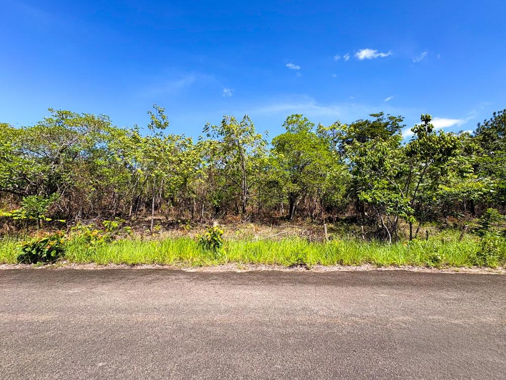 Listing Photo 12