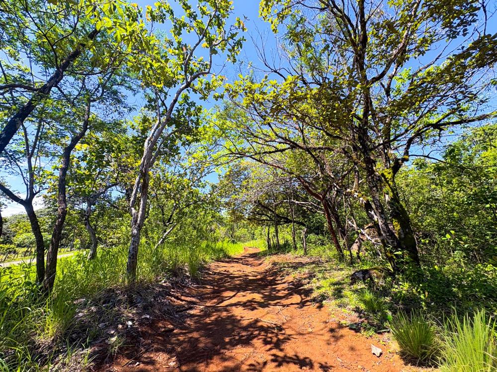 Listing Photo 22