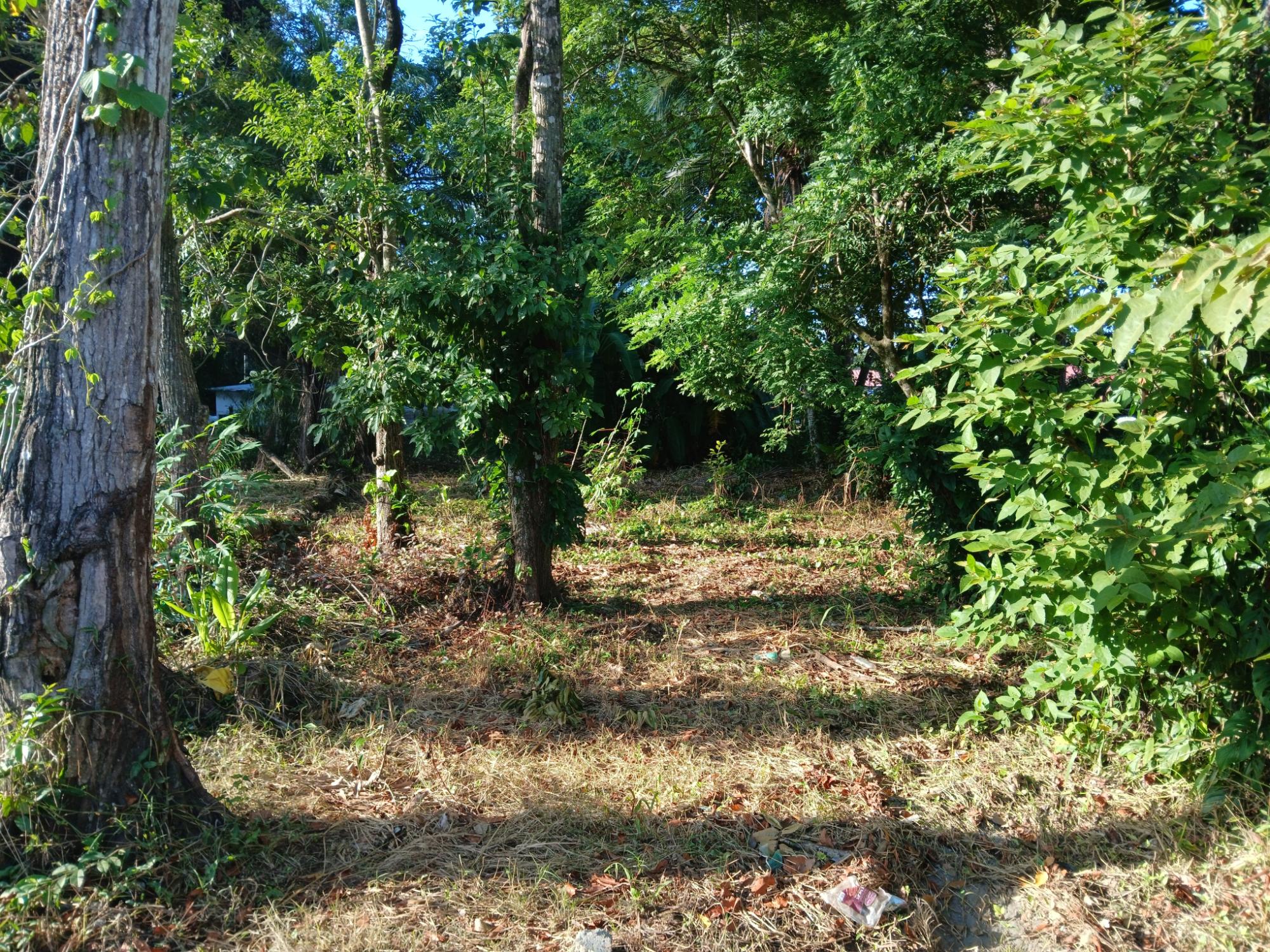 Listing Photo 8