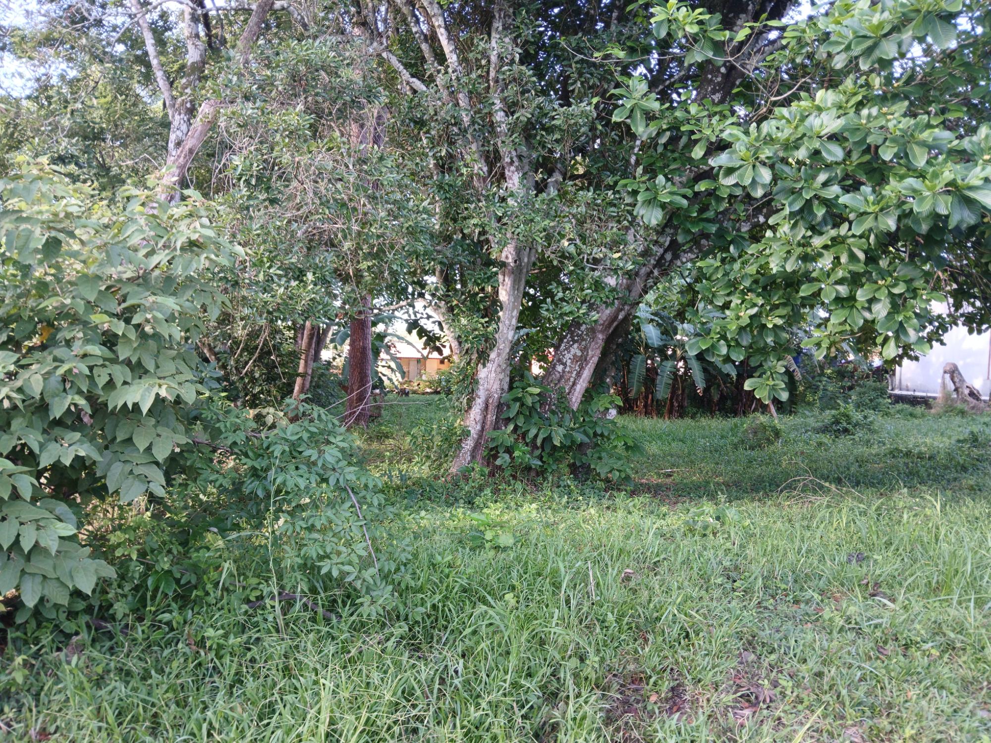 Listing Photo 9