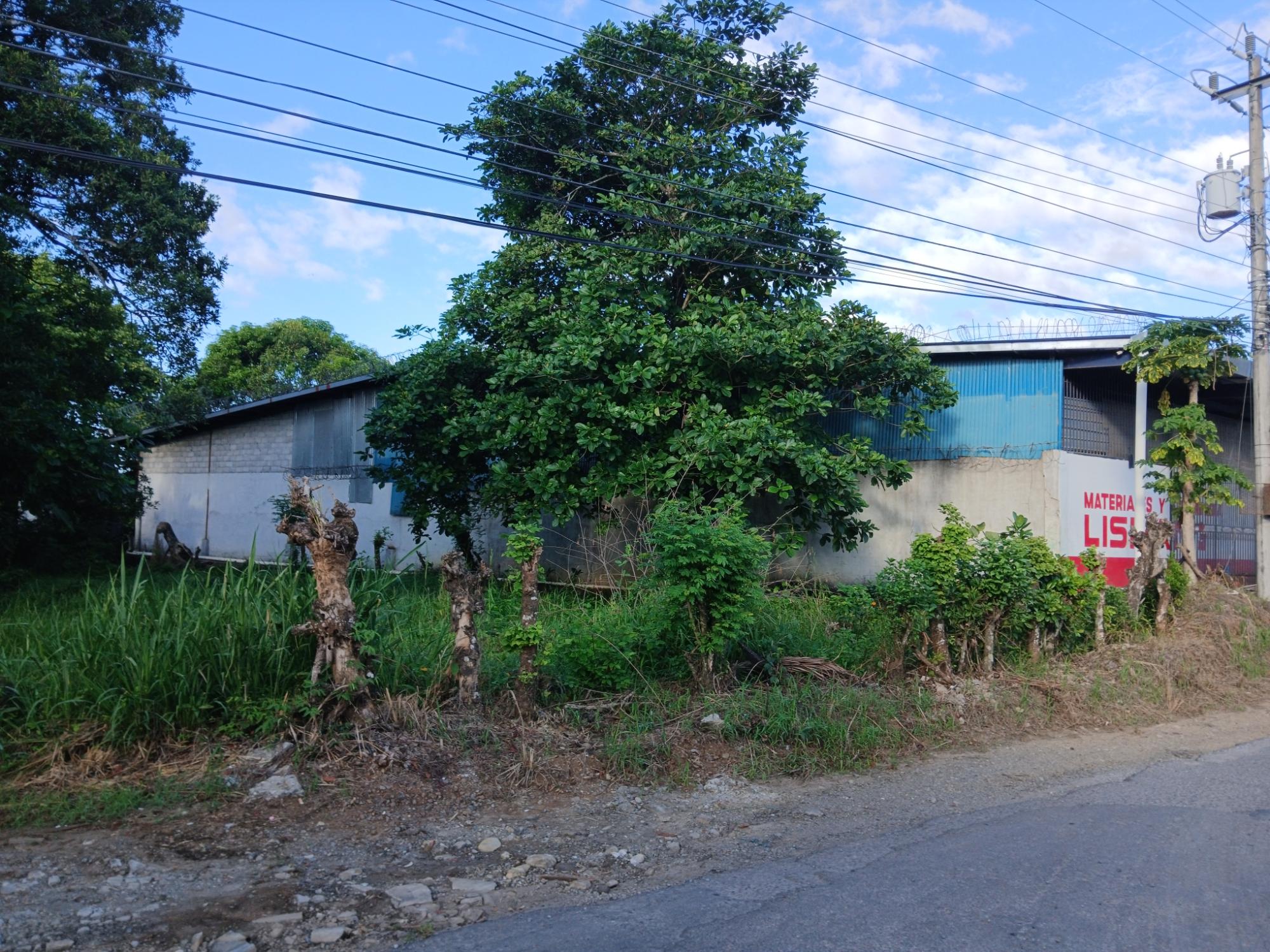 Listing Photo 10