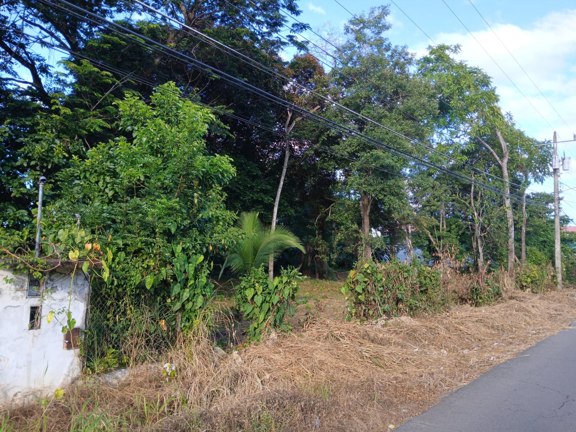 Listing Photo 12